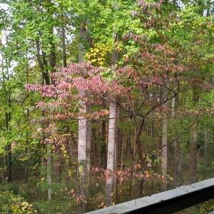 Meet your Posher, Cyrilla